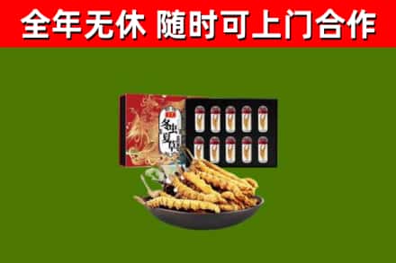 桓仁回收冬虫夏草价格